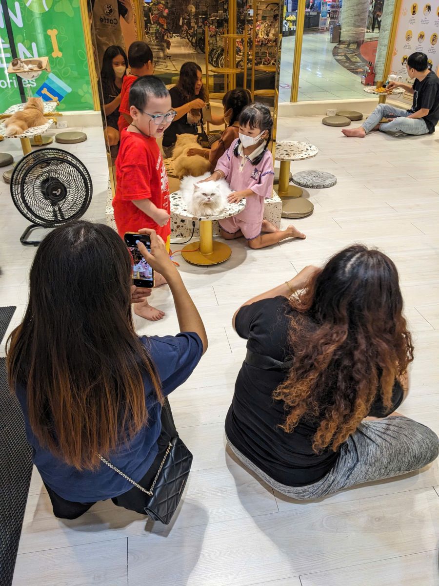 Một khoảnh khắc tại CATFE