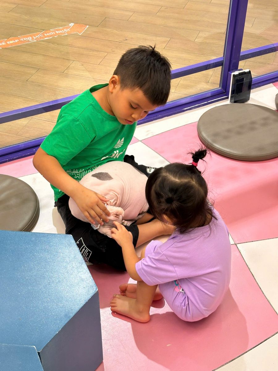 Trải Nghiệm Đáng Yêu Cùng Mèo tại CATFE – AEON Mall Bình Tân: Điểm Đến Thư Giãn Tuyệt Vời Cho Tín Đồ Yêu Mèo
