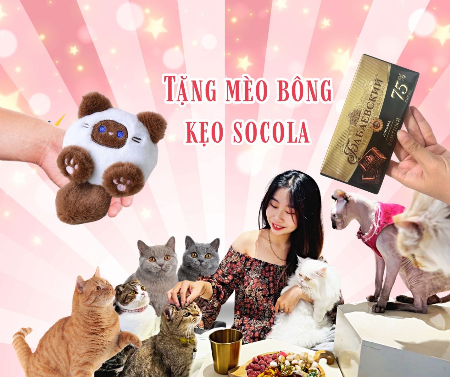 CATFE - Tiên phong cà phê mèo buffet tại Sài Gòn: Quà tặng và mèo cưng đang chờ bạn!