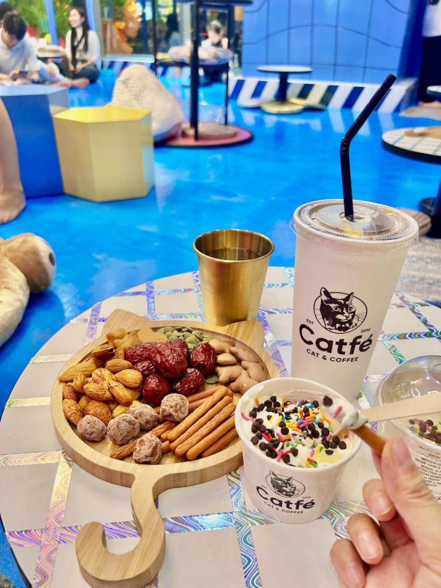 Khai trương cafe mèo catfe
