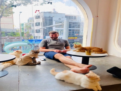 Bí Mật Sức Hút CATFE: Vì Sao Quán Cafe Mèo Lâu Đời Nhất TP.HCM Luôn Được Yêu Thích?