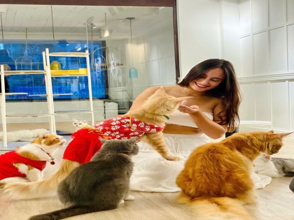 Khám Phá Thế Giới "Hoàng Thượng": Những Điều Thú Vị Về Mèo Sphynx, Maine Coon & British Shorthair Tại CATFE