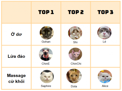 Thành viên mèo CATFE AEON MALL Tân Phú