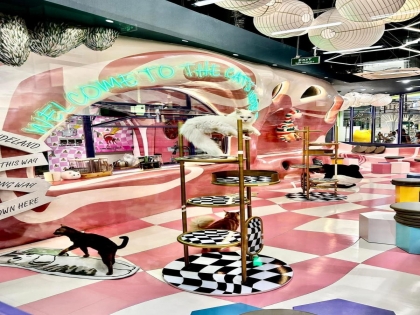 Cafe mèo tại Aeon Tân Phú