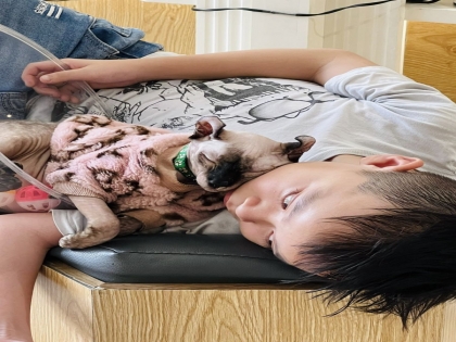 Làm thế nào để gần gũi với mèo của bạn hơn